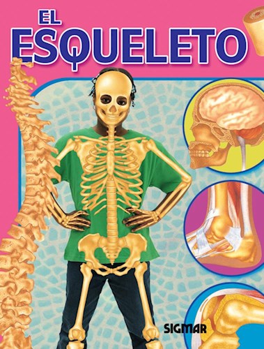  Esqueleto  El