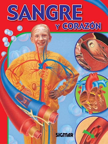  Sangre Y El Corazon (Cuerpo Y Salud)