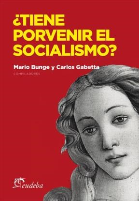 E-book ¿Tiene porvenir el socialismo?