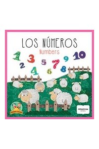 Papel Los Numeros - Numbers