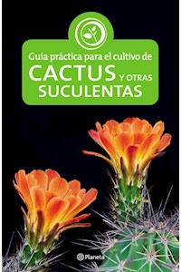 Papel Guía Práctica De Cactus Y Suculentas