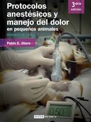 Papel Protocolos Anestésicos Y Manejo Del Dolor En Pequeños Animales