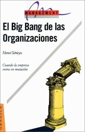 Papel Big Bang De Las Organizaciones, El