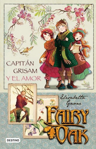 Papel Fairy Oak Capitan Grisam Y El Amor