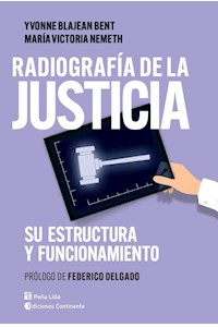 Papel Radiografia De La Justicia . Su Estructura Y Funcionamiento