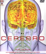 Papel CEREBRO