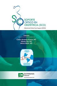 Papel Soporte Crítico en Obstetricia (SCO)