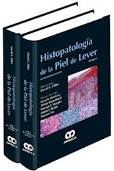 Papel Histopatología De La Piel De Lever