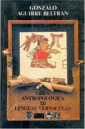 Papel OBRA ANTROPOLOGICA VII (COLECCION ANTROPOLOGIA)