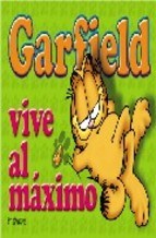 Papel Garfield N 4