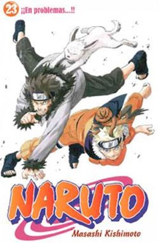 Papel Naruto 23 - En Problemas