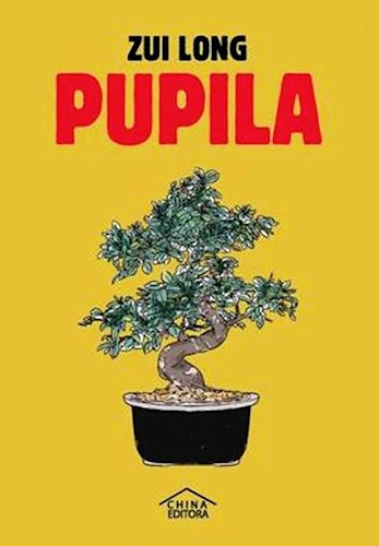Papel PUPILA