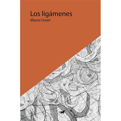 Papel LOS LIGÁMENES / EL ENTRERRIANITO