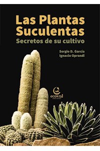 Papel Las Plantas Suculentas