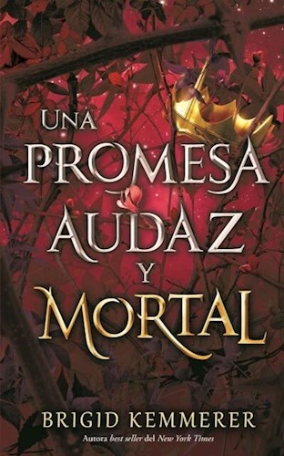Libro Una Promesa Audaz Y Mortal