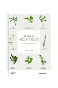 Papel Plantas Aromáticas