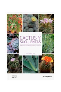 Papel Cactus Y Suculentas