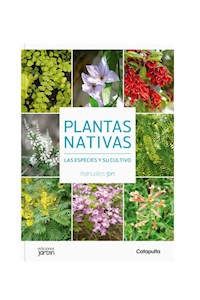 Papel Plantas Nativas