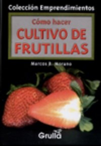 Papel Como Hacer Cultivo De Frutillas