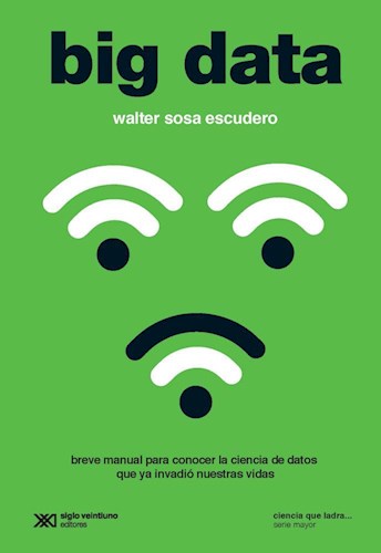  Big Data