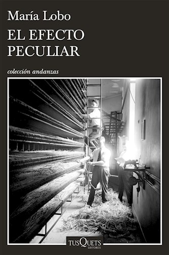 Papel EFECTO PECULIAR (COLECCION ANDANZAS) (RUSTICO)