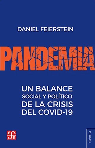 Papel Pandemia Una Balance Social Y Politico