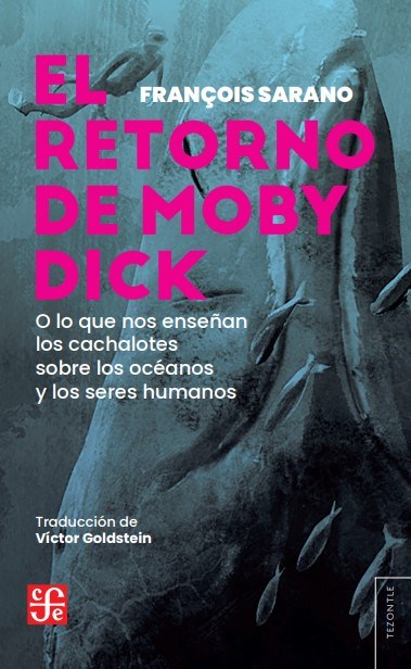Papel EL RETORNO DE MOBY DICK