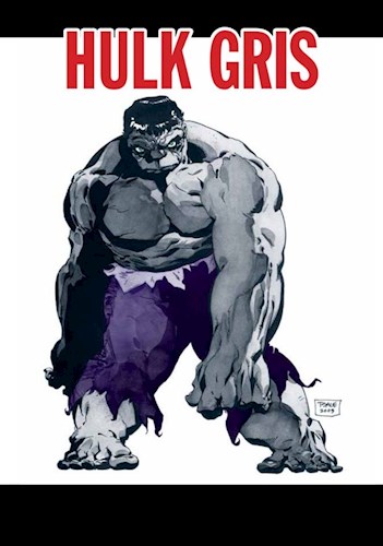 Libro Hulk Gris