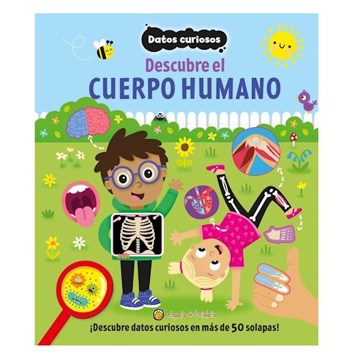 Papel DESCUBRE EL CUERPO HUMANO (COLECCION DATOS CURIOSOS) (CARTONE)