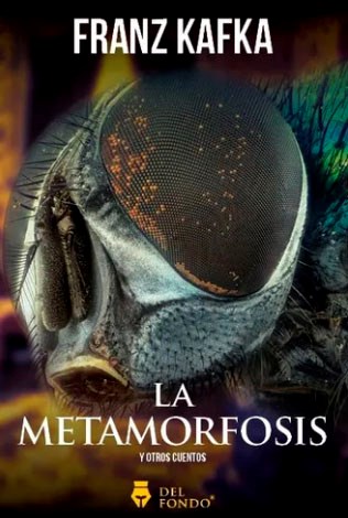 Papel METAMORFOSIS