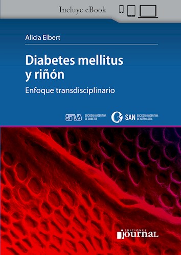 E-Book Diabetes Mellitus y Riñón (eBook)