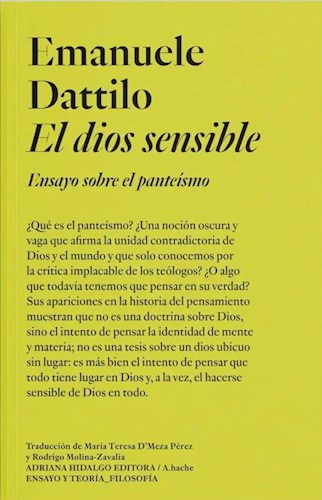 Papel DIOS SENSIBLE ENSAYO SOBRE EL PANTEISMO (COLECCION ENSAYO Y TEORIA FILOSOFIA 437)