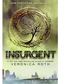 Papel Divergent 2: Insurgent - Harper Collins Usa