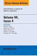 E-book Volume 44, Issue 4, An Issue Of Orthopedic Clinics
