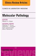 E-book Molecular Pathology, An Issue Of Clinics In Laboratory Medicine