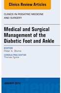 E-book Medical And Surgical Management Of The Diabetic Foot And Ankle, An Issue Of Clinics In Podiatric Medicine And Surgery