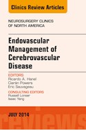 E-book Endovascular Management Of Cerebrovascular Disease, An Issue Of Neurosurgery Clinics Of North America