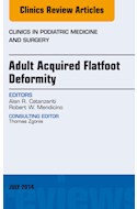 E-book Adult Acquired Flatfoot Deformity, An Issue Of Clinics In Podiatric Medicine And Surgery