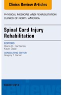 E-book Spinal Cord Injury Rehabilitation, An Issue Of Physical Medicine And Rehabilitation Clinics Of North America