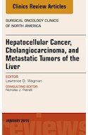 E-book Hepatocellular Cancer, Cholangiocarcinoma, And Metastatic Tumors Of The Liver, An Issue Of Surgical Oncology Clinics Of North America