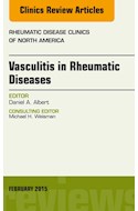 E-book Vasculitis In Rheumatic Diseases, An Issue Of Rheumatic Disease Clinics