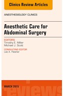 E-book Anesthetic Care For Abdominal Surgery, An Issue Of Anesthesiology Clinics