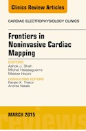 E-book Frontiers In Noninvasive Cardiac Mapping, An Issue Of Cardiac Electrophysiology Clinics