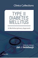 E-book Type Ii Diabetes Mellitus: A Multidisciplinary Approach (Clinics Collections)