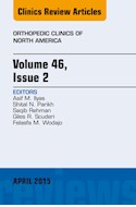 E-book Volume 46, Issue 2, An Issue Of Orthopedic Clinics