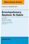 E-book Bronchopulmonary Dysplasia: An Update, An Issue Of Clinics In Perinatology