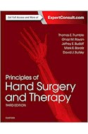 Papel Principles Of Hand Surgery And Therapy