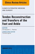 E-book Tendon Repairs And Transfers For The Foot And Ankle, An Issue Of Clinics In Podiatric Medicine & Surgery