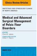E-book Medical And Advanced Surgical Management Of Pelvic Floor Disorders, An Issue Of Obstetrics And Gynecology