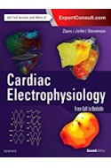 Papel+Digital Cardiac Electrophysiology: From Cell To Bedside